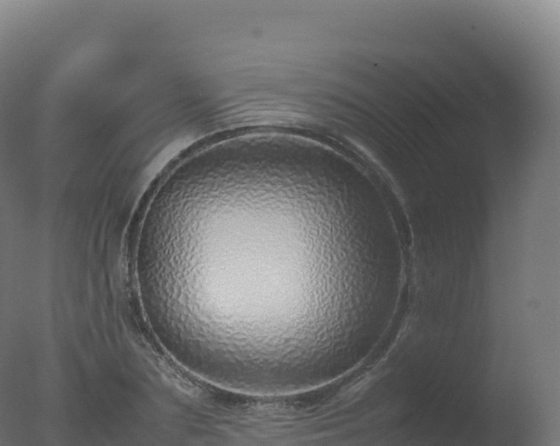 X0000077340883200610271759