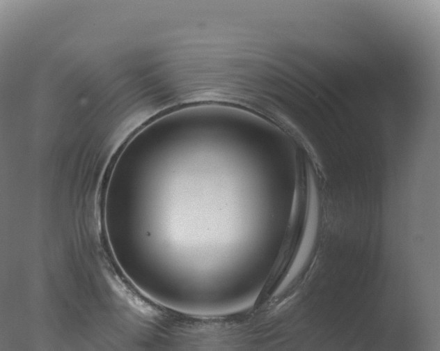 X0000077340892200610271759