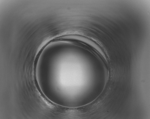 X0000077340894200610271759