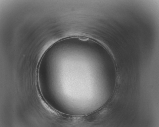 X0000077340903200610271759