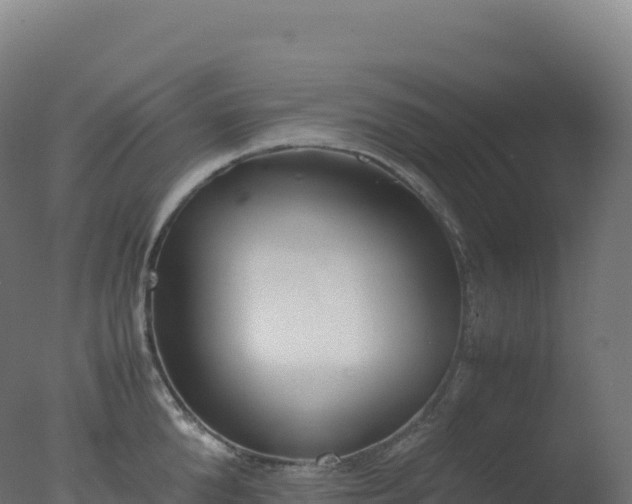X0000077340904200610271759