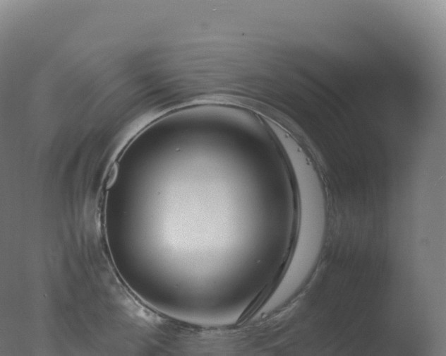 X0000077340908200610271759