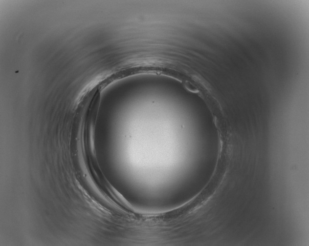 X0000077340922200610271758