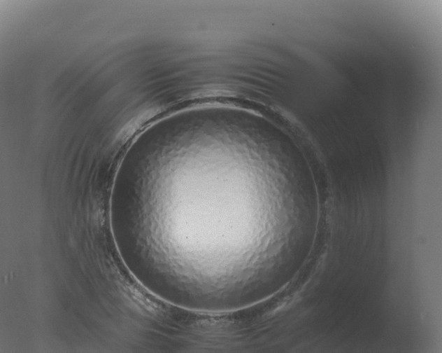 X0000077340929200610271758