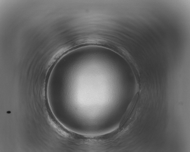 X0000077340938200610271758
