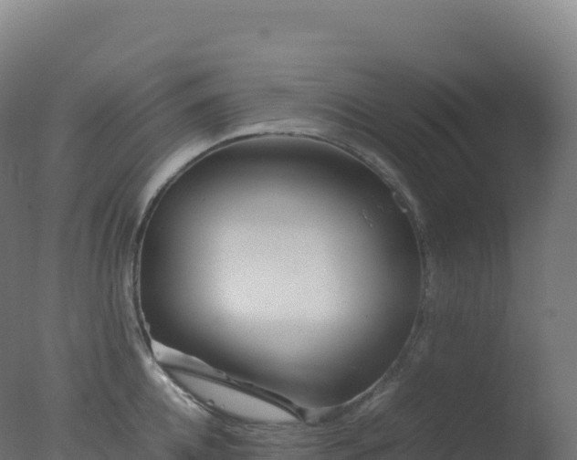 X0000077340952200610271759