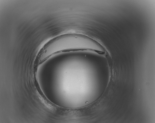 X0000077340972200610271758