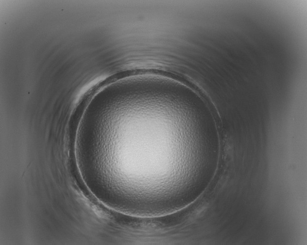 X0000077340979200610271758