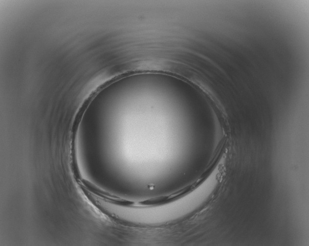 X0000077340992200610271757