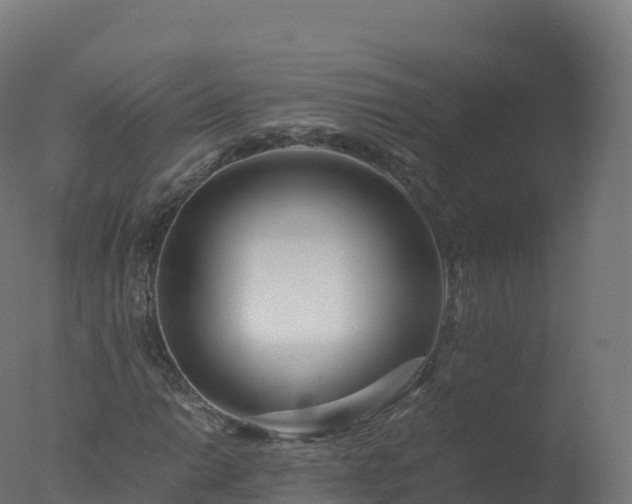 X0000077341014200610271756