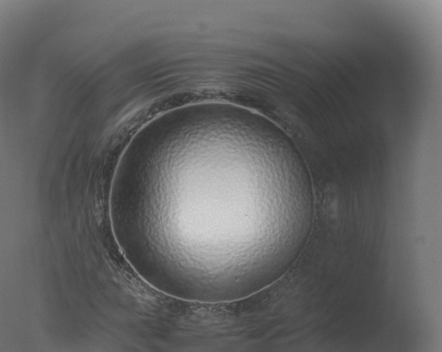 X0000077341015200610271756