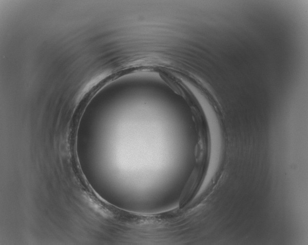 X0000077341026200610271757