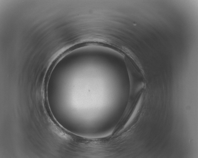 X0000077341028200610271757