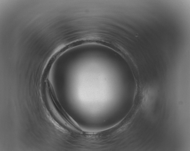X0000077341029200610271757