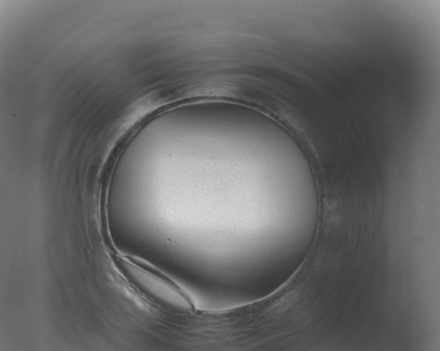 X0000077341035200610271757