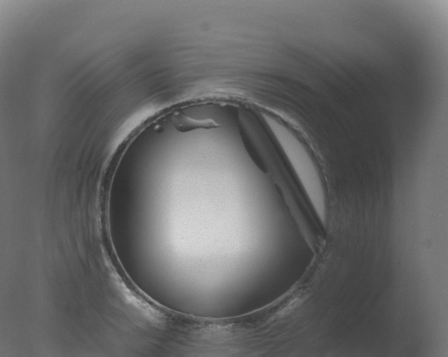X0000077341038200610271757