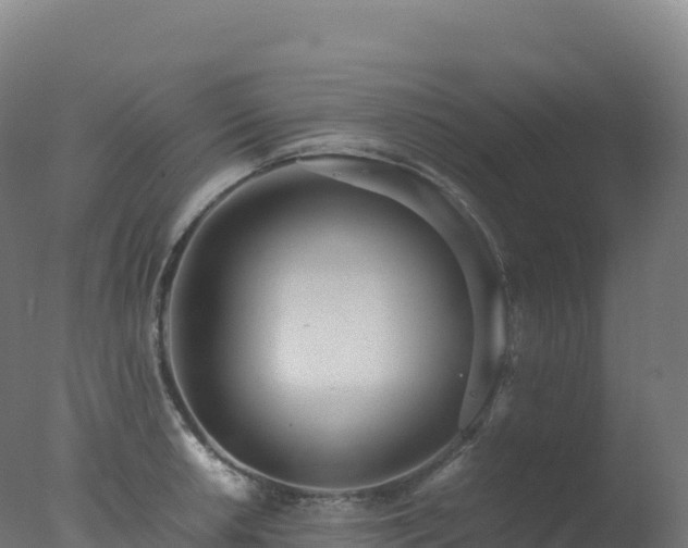X0000077341042200610271757