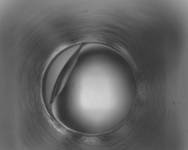 X0000077341043200610271757
