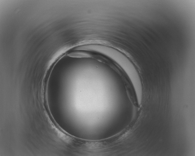 X0000077341046200610271757