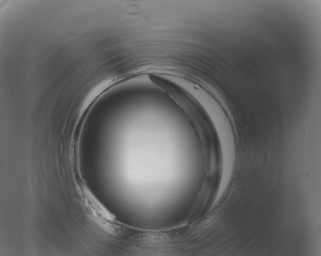 X0000077341050200610271757