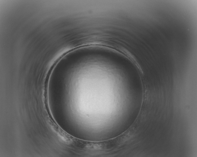 X0000077341051200610271757