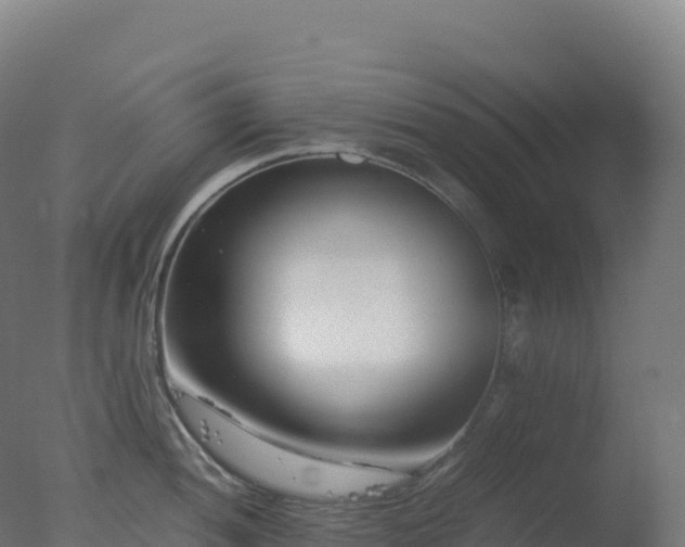 X0000077341052200610271757