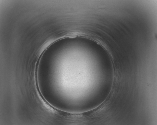 X0000077341055200610271757