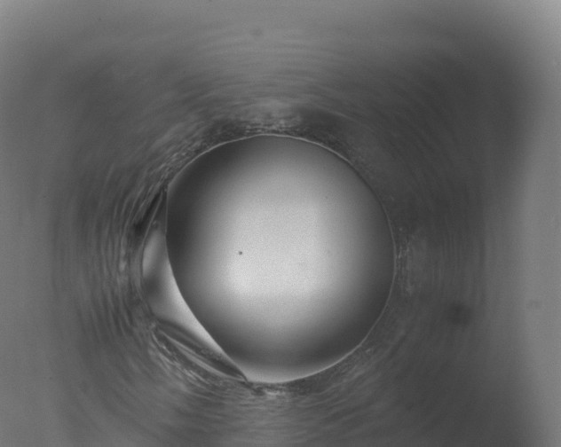 X0000077341058200610271756