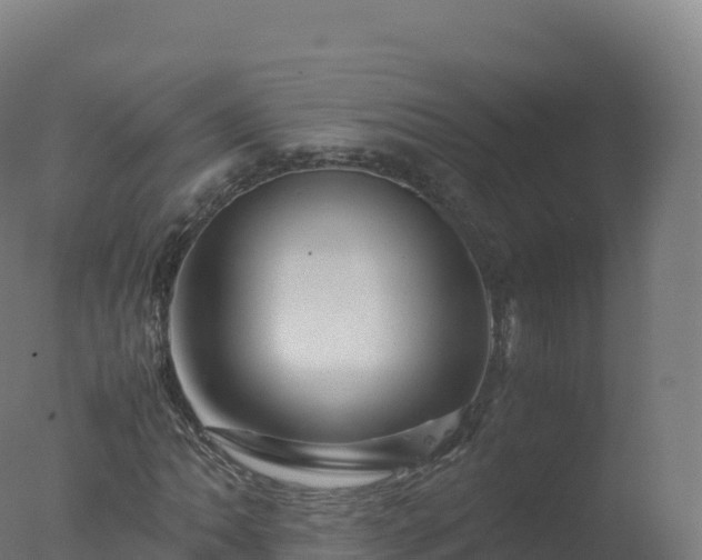X0000077341062200610271756