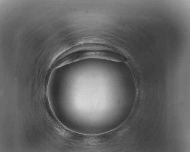 X0000077341073200610271756