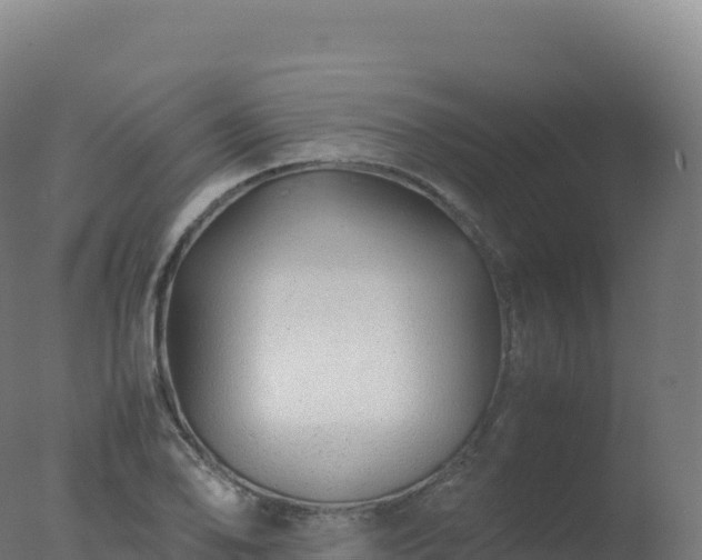 X0000077341078200610271756