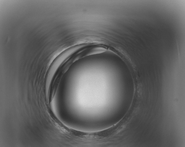 X0000077341081200610271756