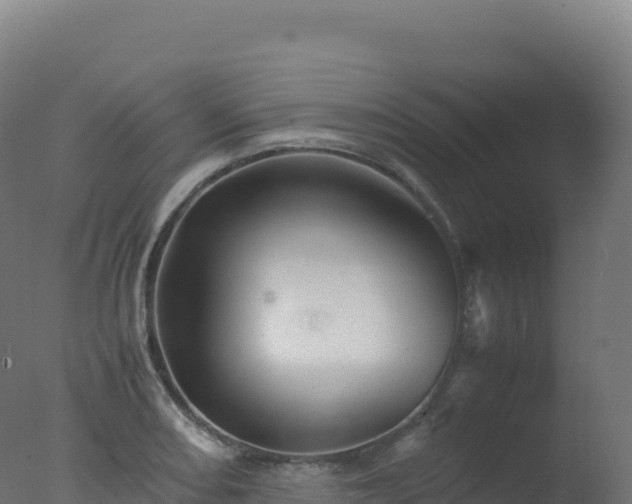 X0000077341082200610271756