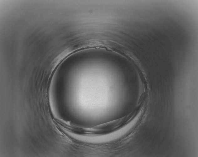 X0000077341089200610271756