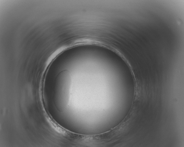 X0000077341098200610271756