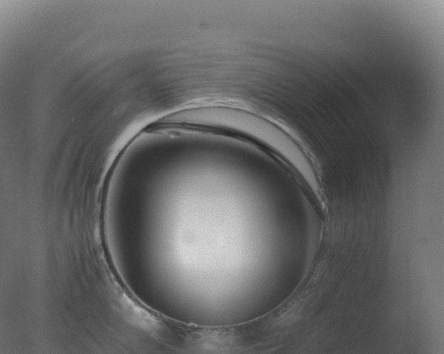 X0000077341102200610271756