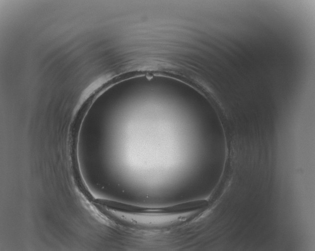 X0000077341122200610271755
