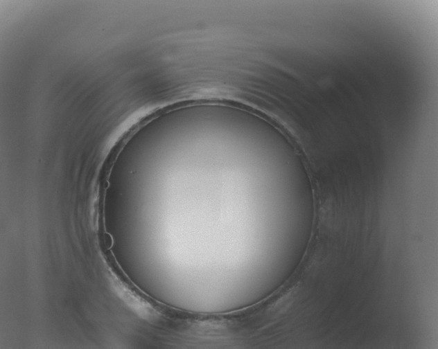 X0000077341126200610271755