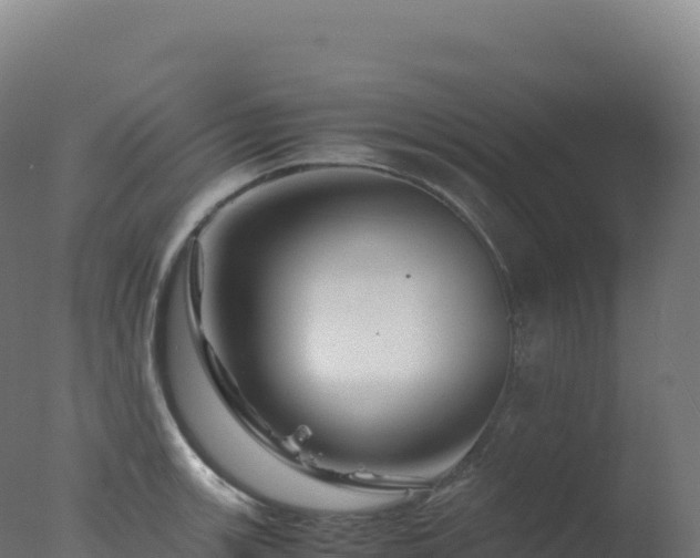 X0000077341139200610271755