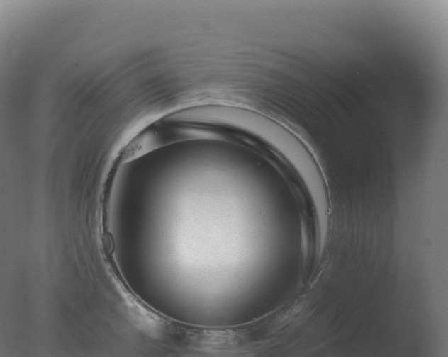 X0000077341144200610271755