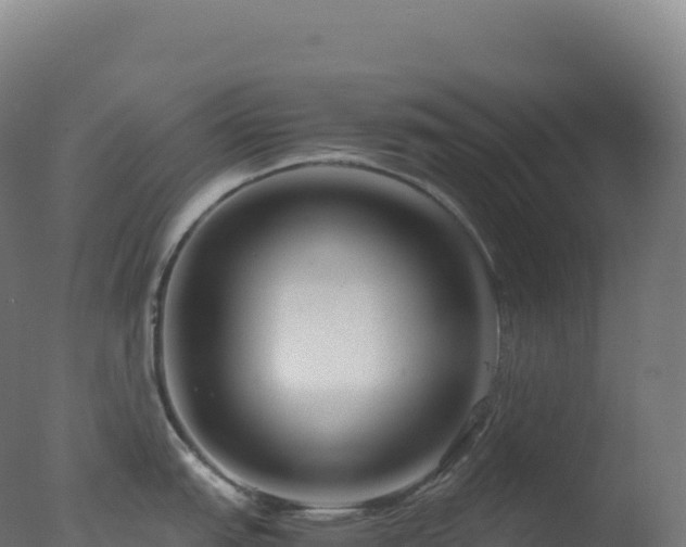 X0000077341151200610271756