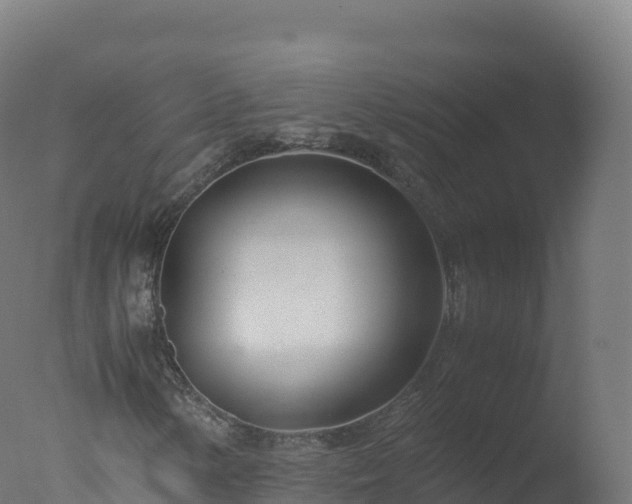 X0000077341154200610271755