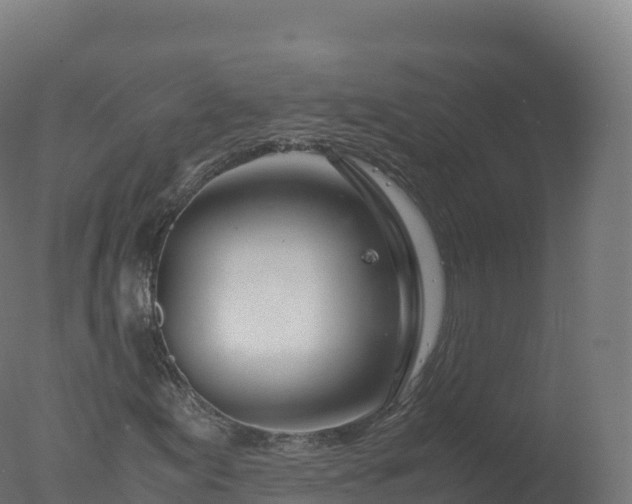 X0000077341155200610271755