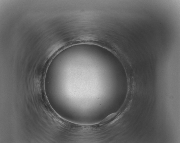 X0000077341162200610271755