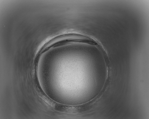 X0000077341167200610271754
