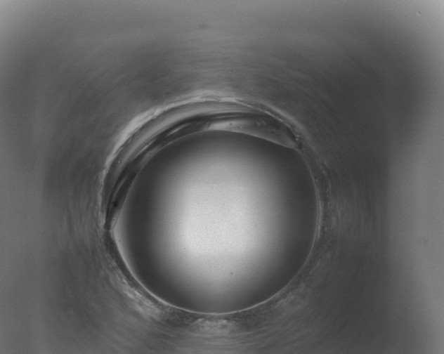 X0000077341168200610271754