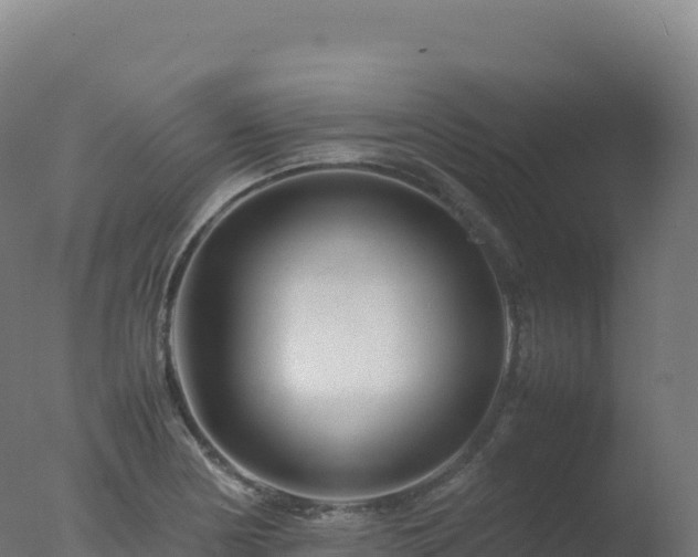 X0000077341178200610271754