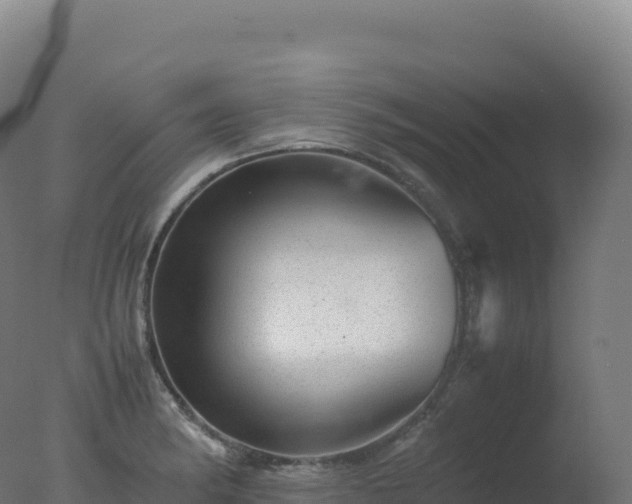 X0000077341182200610271754