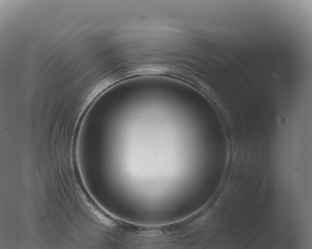 X0000077341186200610271754