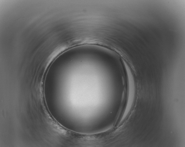 X0000077341190200610271754